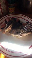 My Dad Enjoyed Fish Heads, Now I Know Why