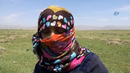 Ova onlar için ekmek kapısı oldu