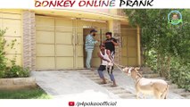 DONKEY ONLINE PRANK By Nadir Ali & Asim Sanata In P4 Pakao 2018