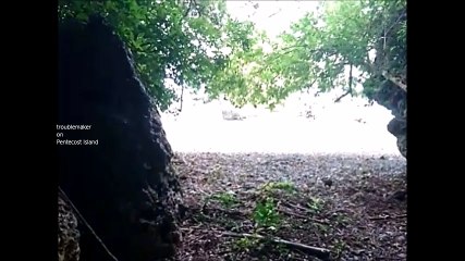 free accommodation für backpacker in Vanuatu