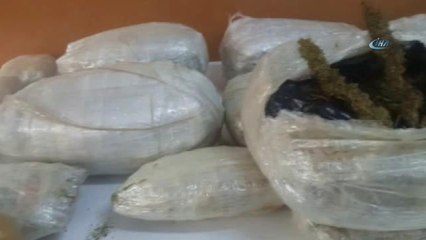 Lice'de 59 Kilogram Esrar Ele Geçirildi