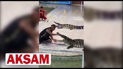 Timsahın boğazına kolunu soktu