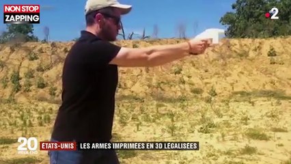 Etats-Unis : La légalisation d'armes imprimées en 3D fait polémique (vidéo)