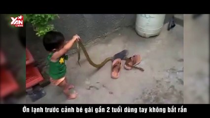 Ớn lạnh trước cảnh bé gái gần 2 tuổi dùng tay không bắt rắn