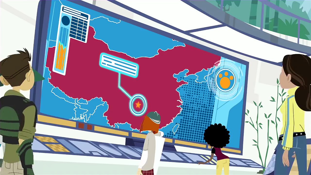 Wild Kratts - Showcasing Beautiful Animals #1 Videos For Kids - video