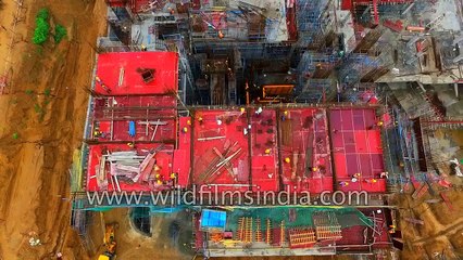 Which city is this Big guess for wildfilmsindia viewers