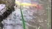 Three carps jumped over a small waterfall. According to Chinese legend, if a carp can jump over such an obstacle, then it will be transformed into a dragon. But