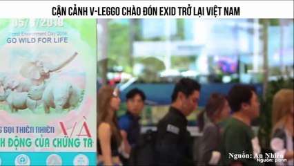 CẬN CẢNH V-LEGGO CHÀO ĐÓN EXID TRỞ LẠI VIỆT NAM