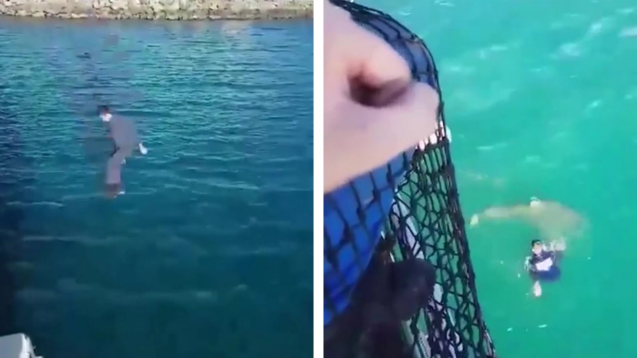 Un marin saute d'un navire et se retrouve juste à côté d'un requin qui tente de le mordre