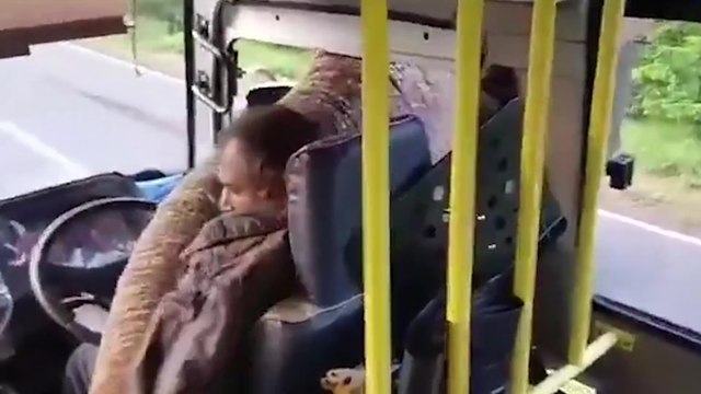 Un éléphant braque un bus pour des bananes