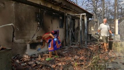 Πυρκαγιές Αν. Αττική: Οι εικόνες της καταστροφής
