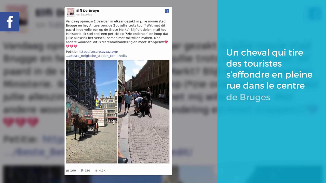 Un cheval qui tire des touristes s’effondre en pleine rue dans le centre de Bruges