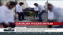 Çukurlara ayçiçeği diktiler