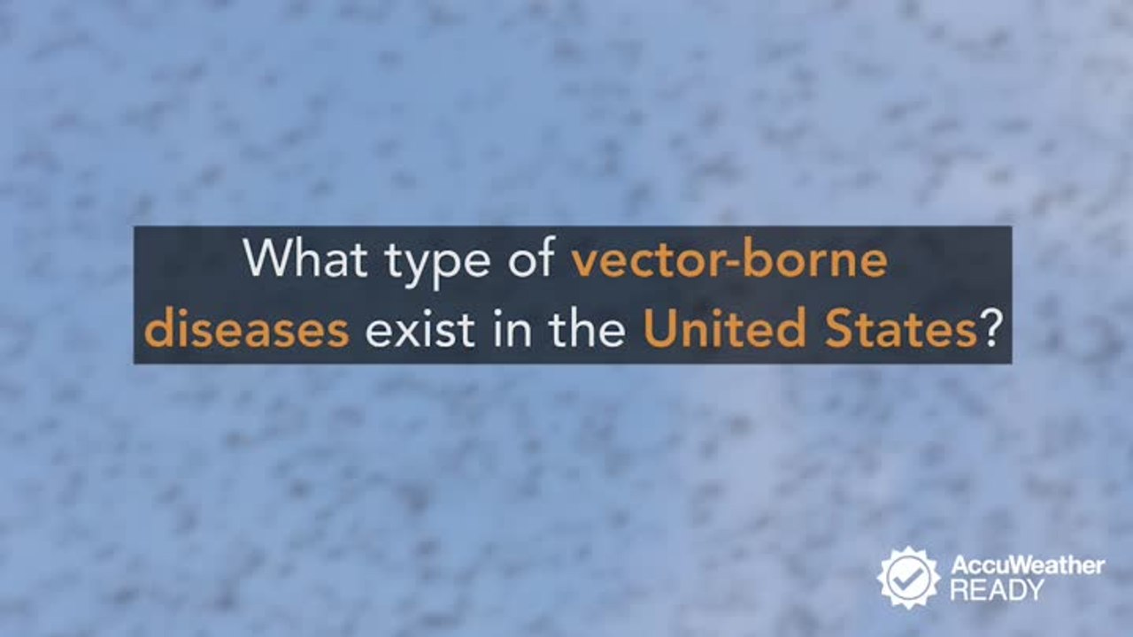 Mosquito-borne diseases and symptoms to look out for