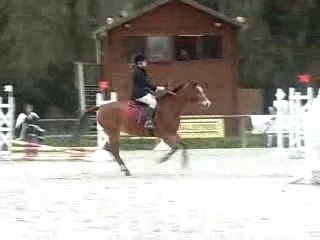 Concours d'obstacle avec boléro