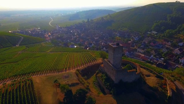 Alsace : mystères d'un grand terroir
