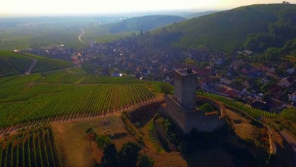 Alsace : mystères d'un grand terroir
