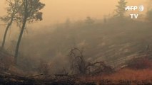 Vientos y sequía atizan incendios en California
