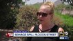 San Tan Valley residents angry with Johnson Utilities over sewage spill