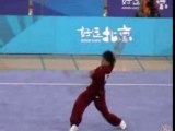 9th World Wushu Championships 2007  Chang Quan