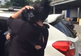 Dog Cuddles Close to New Owner as She Brings Him to Forever Home