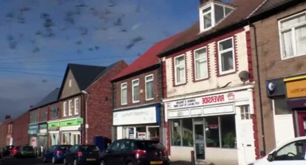 Homes Under the Hammer S18 - Ep18 26th June, 2014 - Part 02 HD Watch