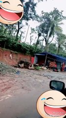 Elephant carrying  lorry