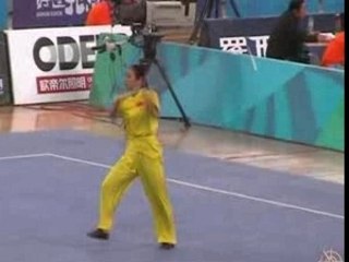 9th World Wushu Championships 2007  Chang Qiang