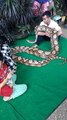 Ular Piton besar  Record Rahmadpujiansyah