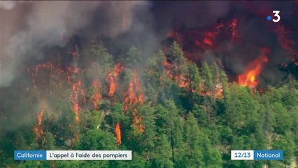 Californie : l'appel à l'aide des pompiers pour prévenir les feux de forêt