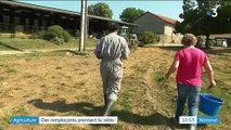 Agriculture : les remplaçants prennent le relais