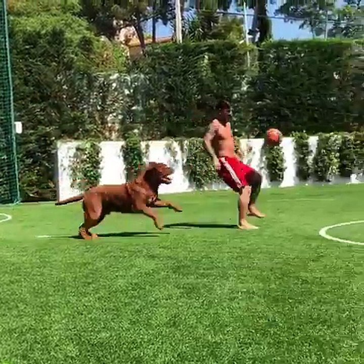 Quand Lionel Messi s'amuse avec son chien...