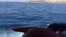 Ege Denizinde Can Pazarı... Tekneleri Batan Suriyeli Kaçakları Tur Teknesi Kurtardı