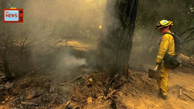 Firefighters Gain On Sprawling California Wildfire, Six Dead | News Today | 07/30/2018 | Donald...