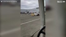 Urso invade pista de aviões num aeroporto nos EUA