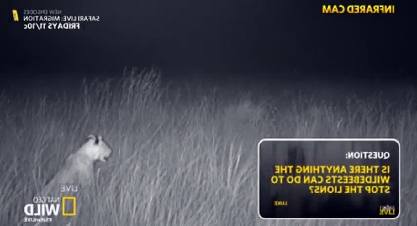 Safari Live Migration S01  E06 S 1, E 6 - Part 05