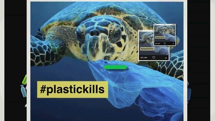 It’s a noisy world. Find out what’s actually happening. - BBC News