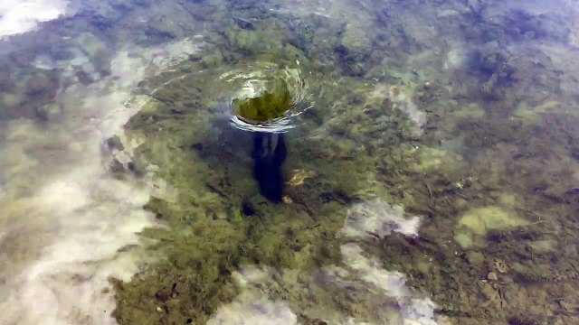 Une des pertes du Doubs entre Pontarlier et Morteau