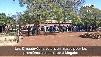 Forte participation au Zimbabwe pour les élections