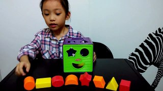 Learn Shapes Playskool Shapes Sorter Cube