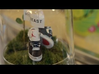 Preserving "Jordans" and Moss with QUEST Terrarium