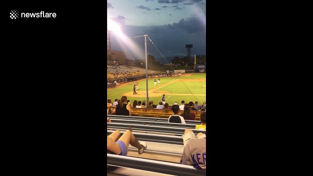Adorable dog retrieves bat at minor league baseball game