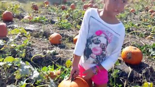 Skylanders Swap Force Halloween Pumpkin Carving w/ Fryno & Roller Brawl ♫Exclusive Music♫