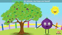 Fig Fruit Rhyme for Children, Fig Cartoon Fruits Song for Kids