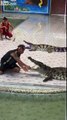 Crocodile : il mord le bras de son dresseur en plein spectacle public !