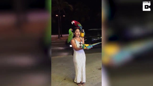 4 perroquets : cette touriste est coincée avec ces oiseaux dans les bras !