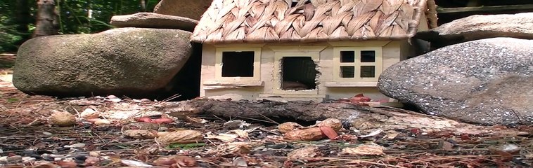 Red Squirrel & Chipmunk