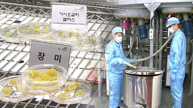 농업기술 담보로 자금 지원받는다 / YTN