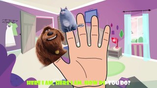 The Secret Life of Pets Finger Famlily Nursery Rhymes parody song For Children