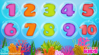 Numbers Song Collection for Children | Numbers Rhymes for Children